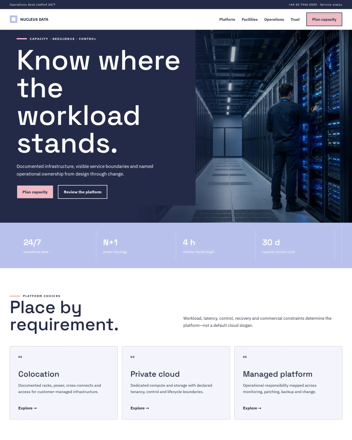 NUCLEUS DATA website template preview