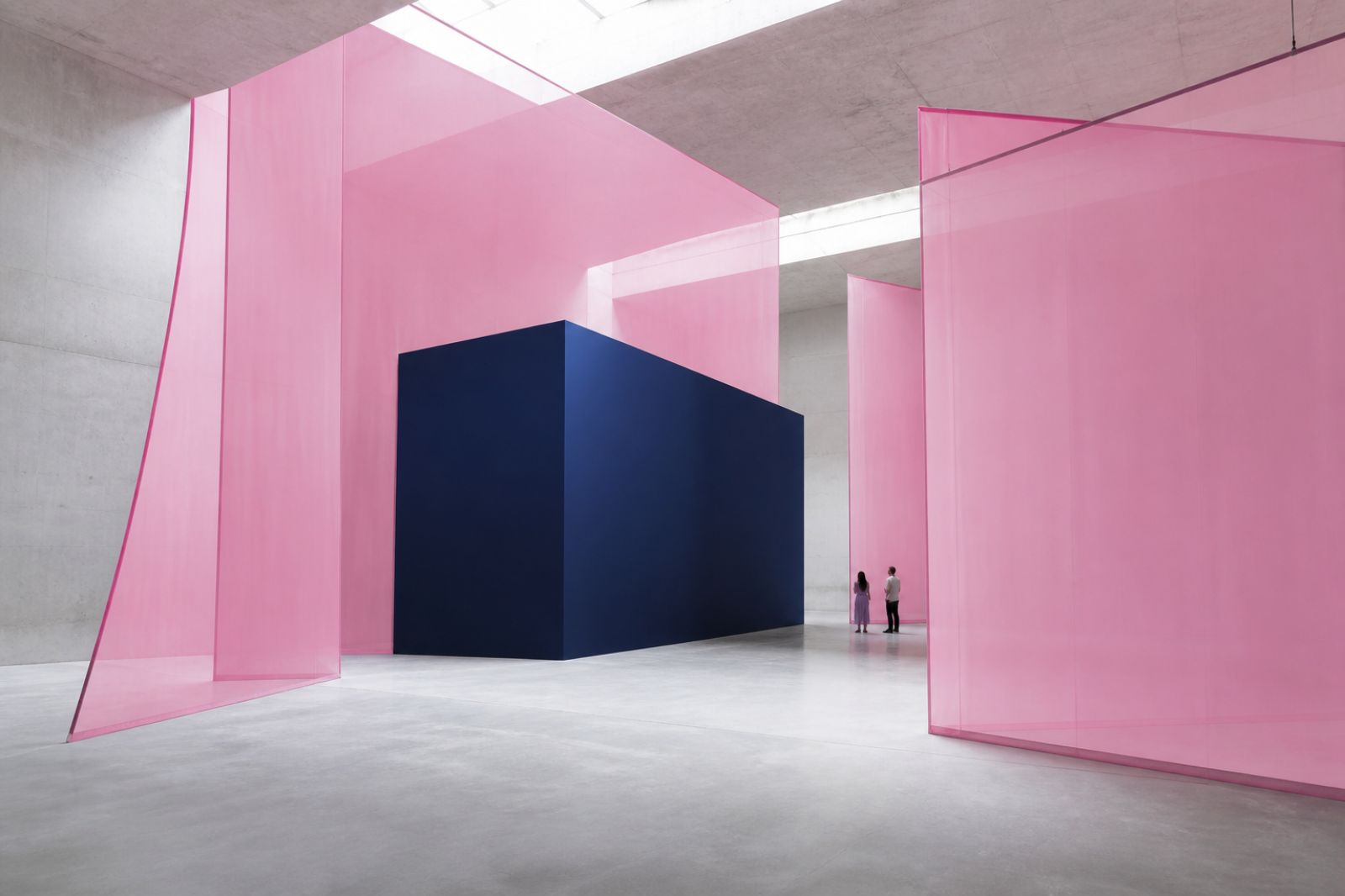 Translucent pink spatial installation surrounding a navy geometric volume